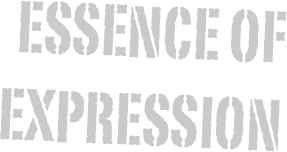 Essence of expression
